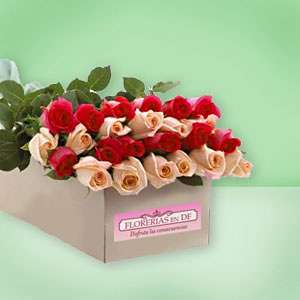 Box of Roses